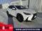 2025 Lexus NX 350 Base