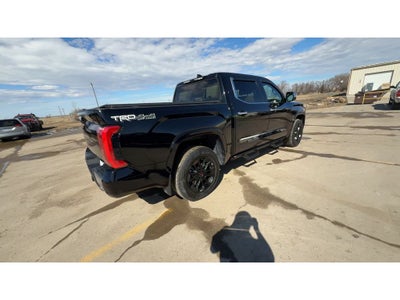 2023 Toyota Tundra 1794 Edition