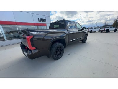 2025 Toyota Tundra 1794 Edition